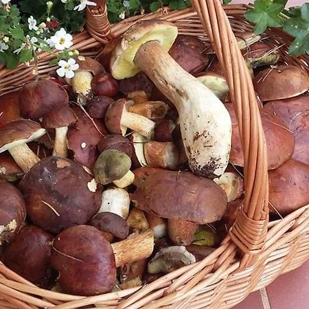 Agroturystyka Rebowo Klodawa  外观 照片