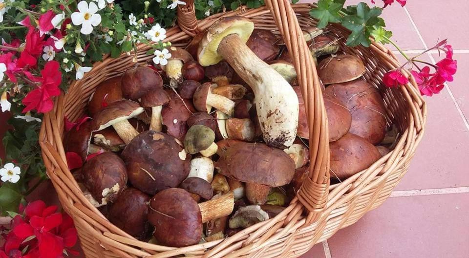 Agroturystyka Rebowo Klodawa  外观 照片