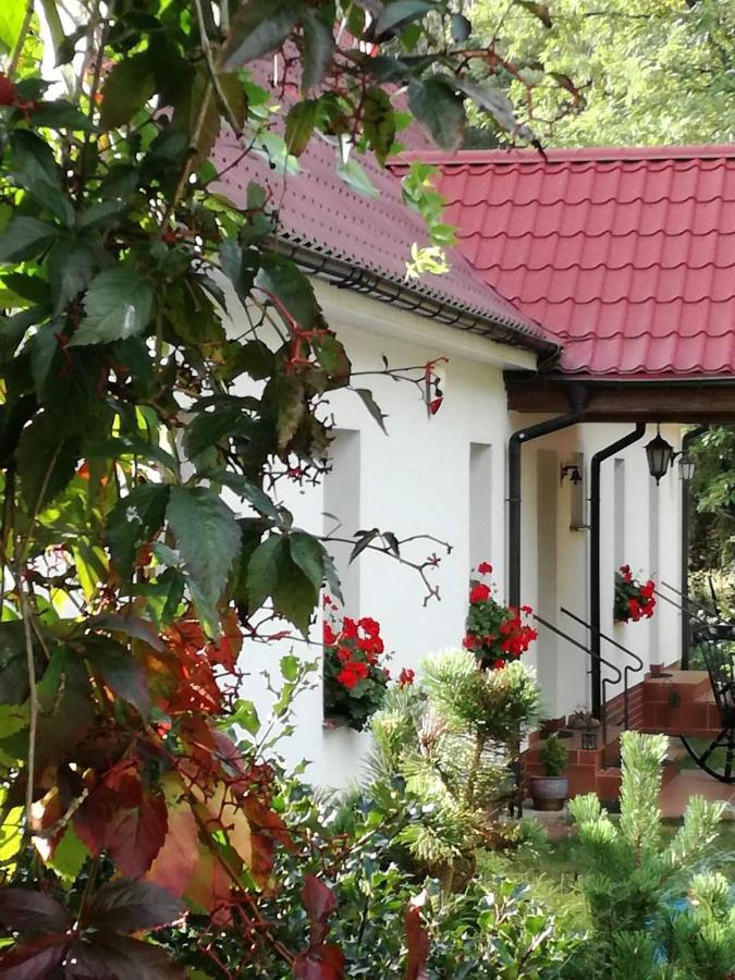 Agroturystyka Rebowo Klodawa  外观 照片